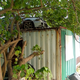 Image for article titled The Cars I Found Abandoned And Junked In Hong Kong Will Blow Your Mind